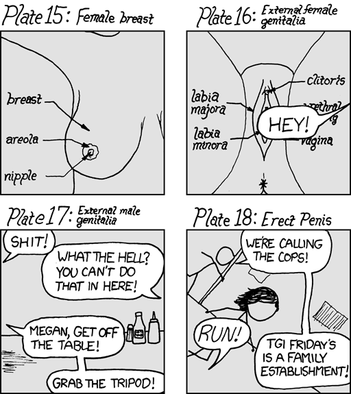 Every Xkcd With Hover Text Color